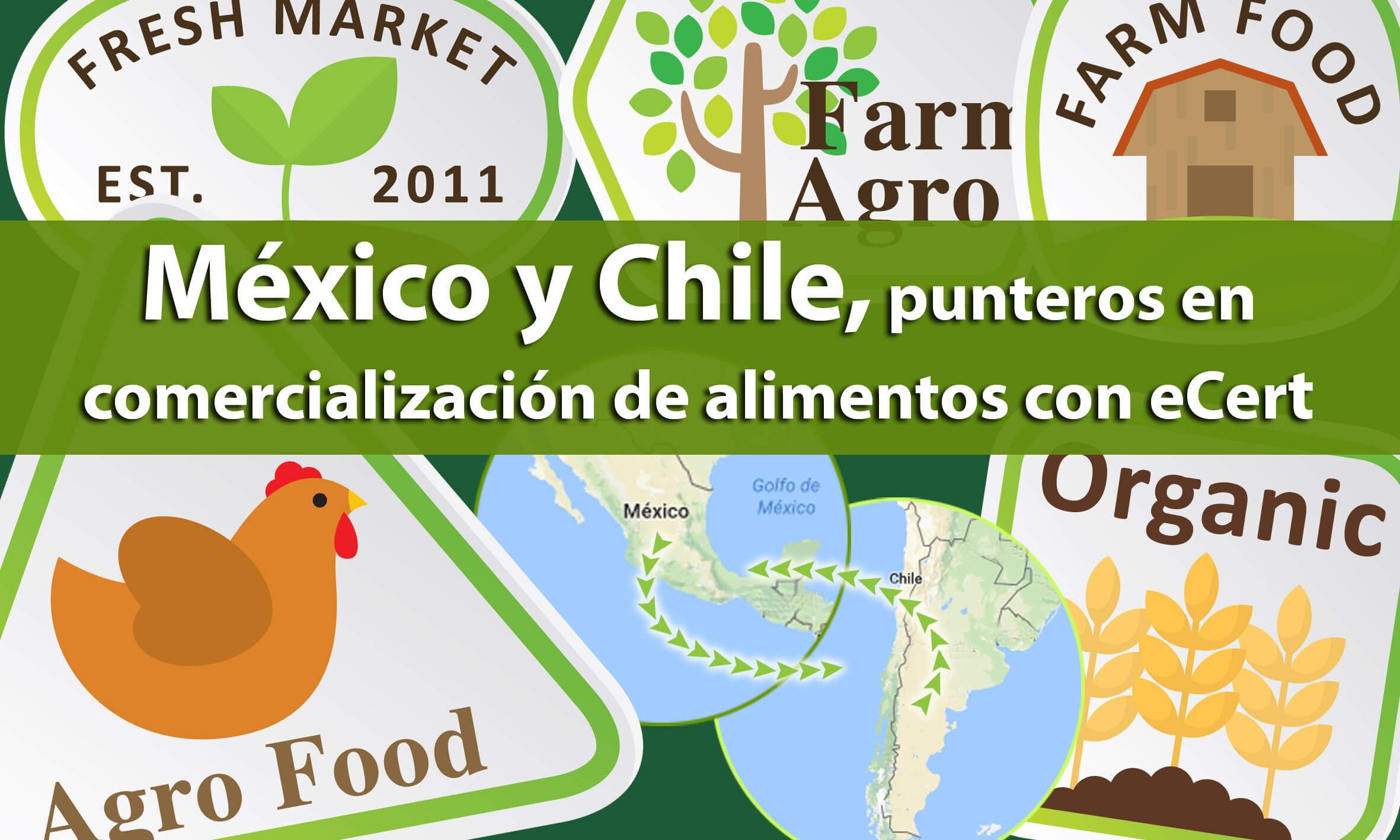 México y Chile, punteros en comercialización de alimentos con eCert