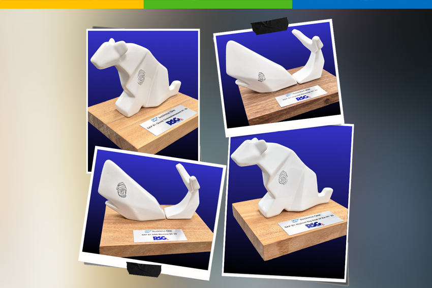 ¡RedSinergia es el partner más reconocido en México por SAP en este 2025!